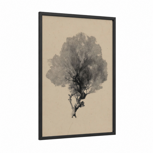 Delicate Coral framed art print — black wood frame — black and white and beige palette