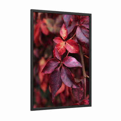Crimson Cherry Blossoms framed art print — black wood frame — magenta and gold palette