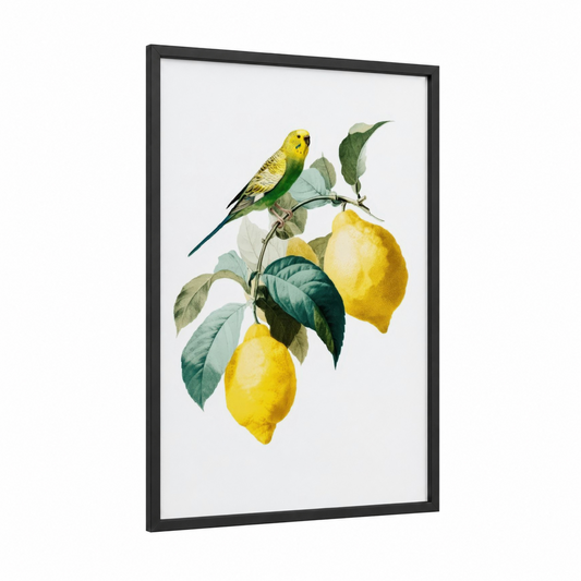 Yellow Budgie framed budgeridar print — black wood frame — yellow gold and sage green palette