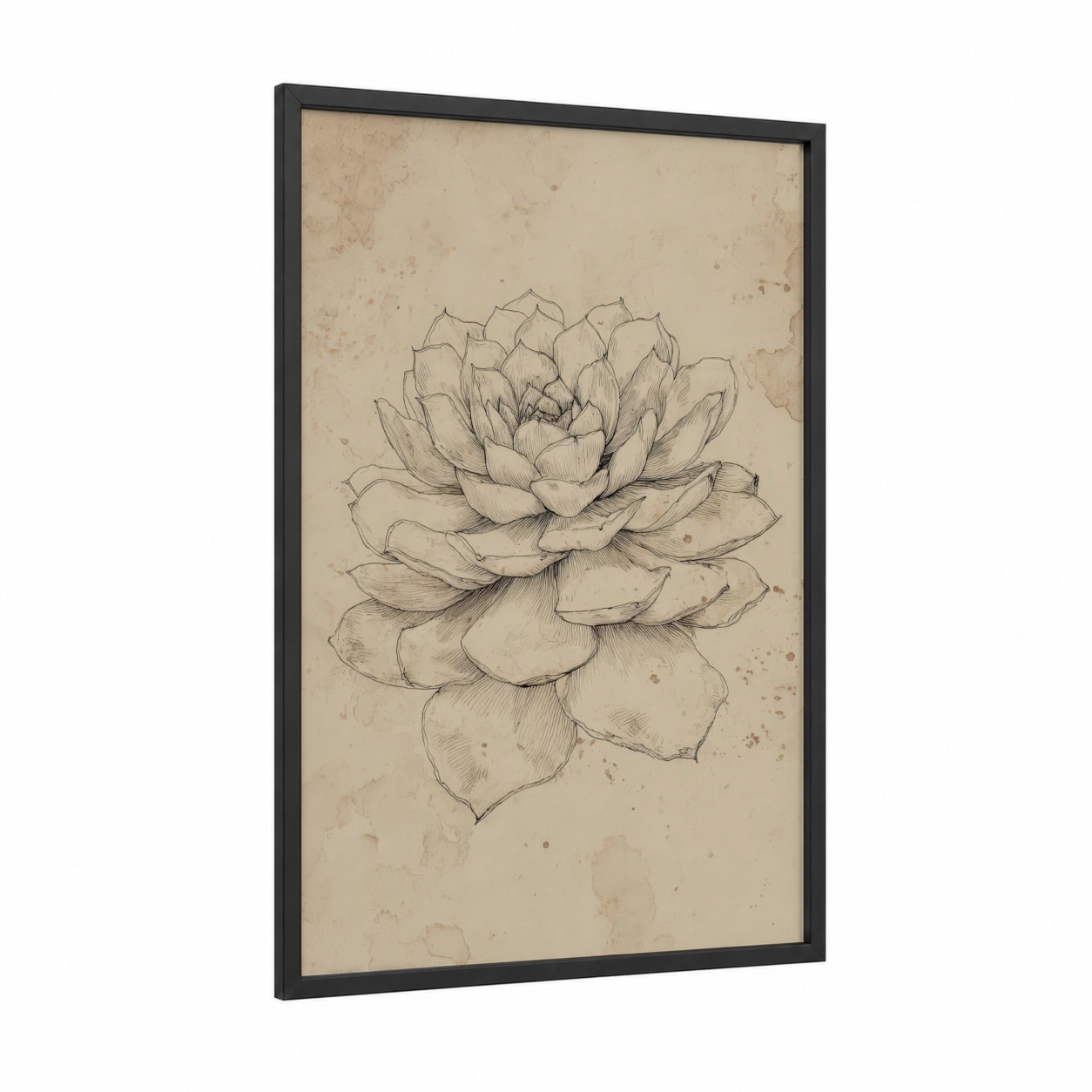 Botanical Succulent framed art print — black wood frame — beige and black and white palette