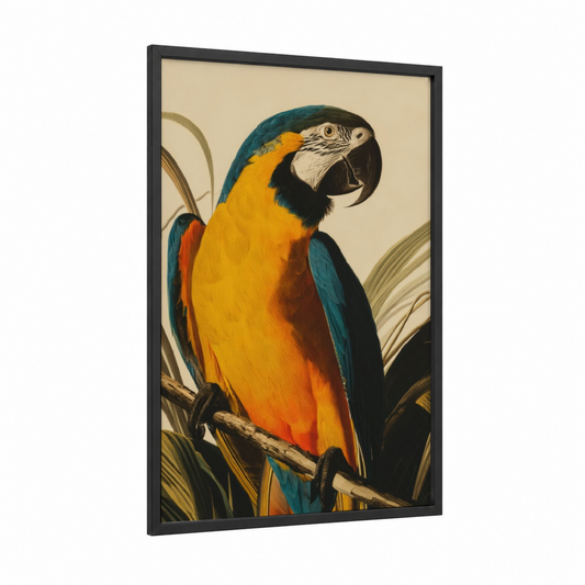 Blue Gold Macaw framed art print — black wood frame — gold and blue palette