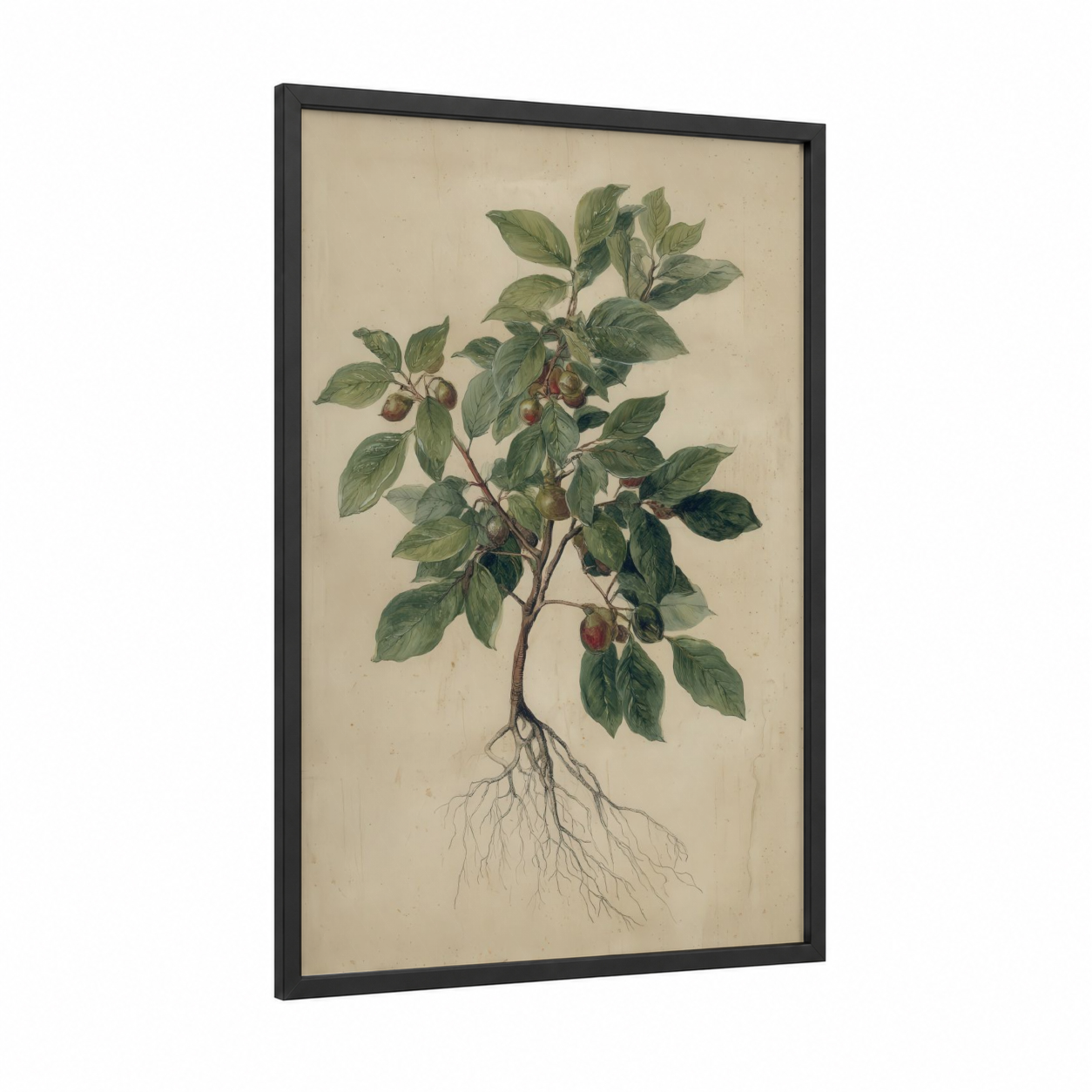 Rooted Banyan framed banyan tree print — black wood frame — beige and true green palette