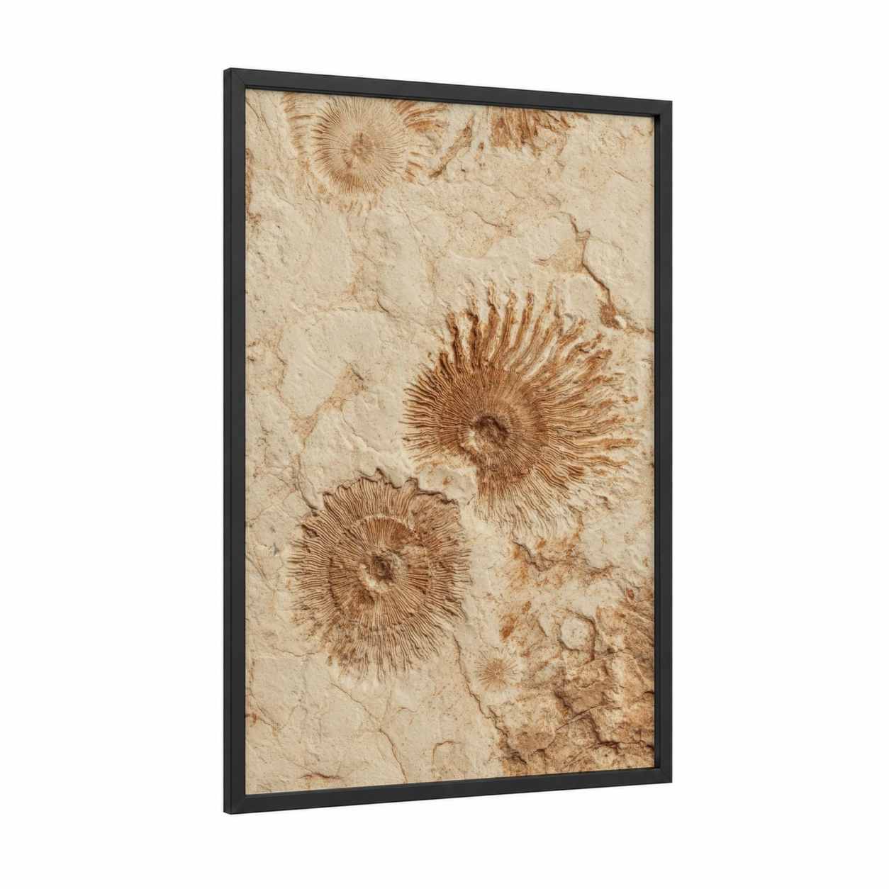 Ancient Fossil Impressions framed natural stones print — black wood frame — beige and russet palette