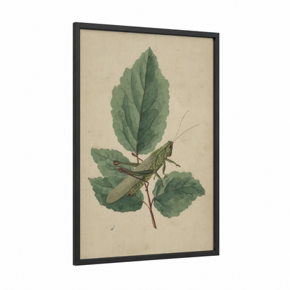 Garden Grasshopper framed art print — black wood frame — sage green and cream palette