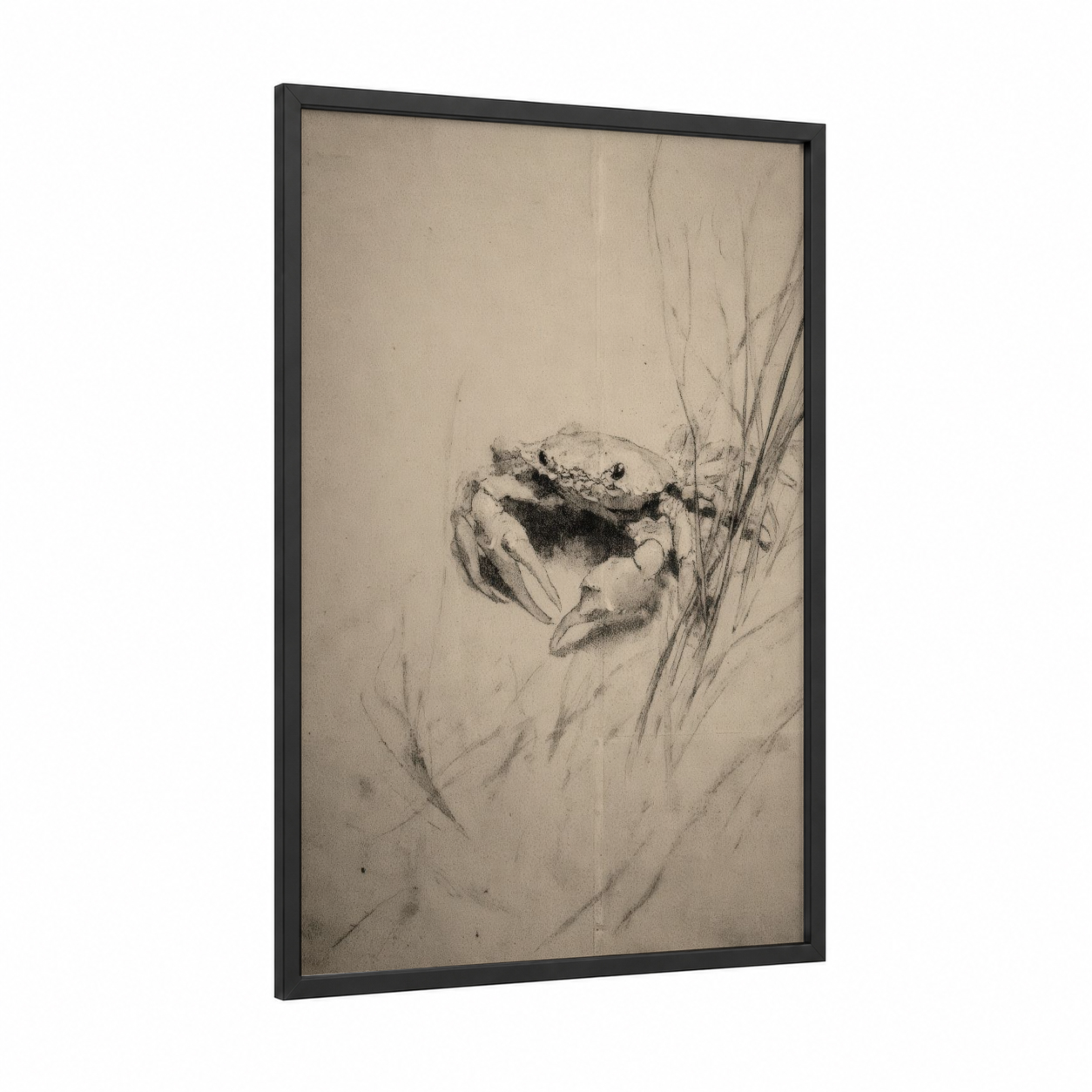 Coastal Crab Sketch framed art print — black wood frame — black and white and gray palette