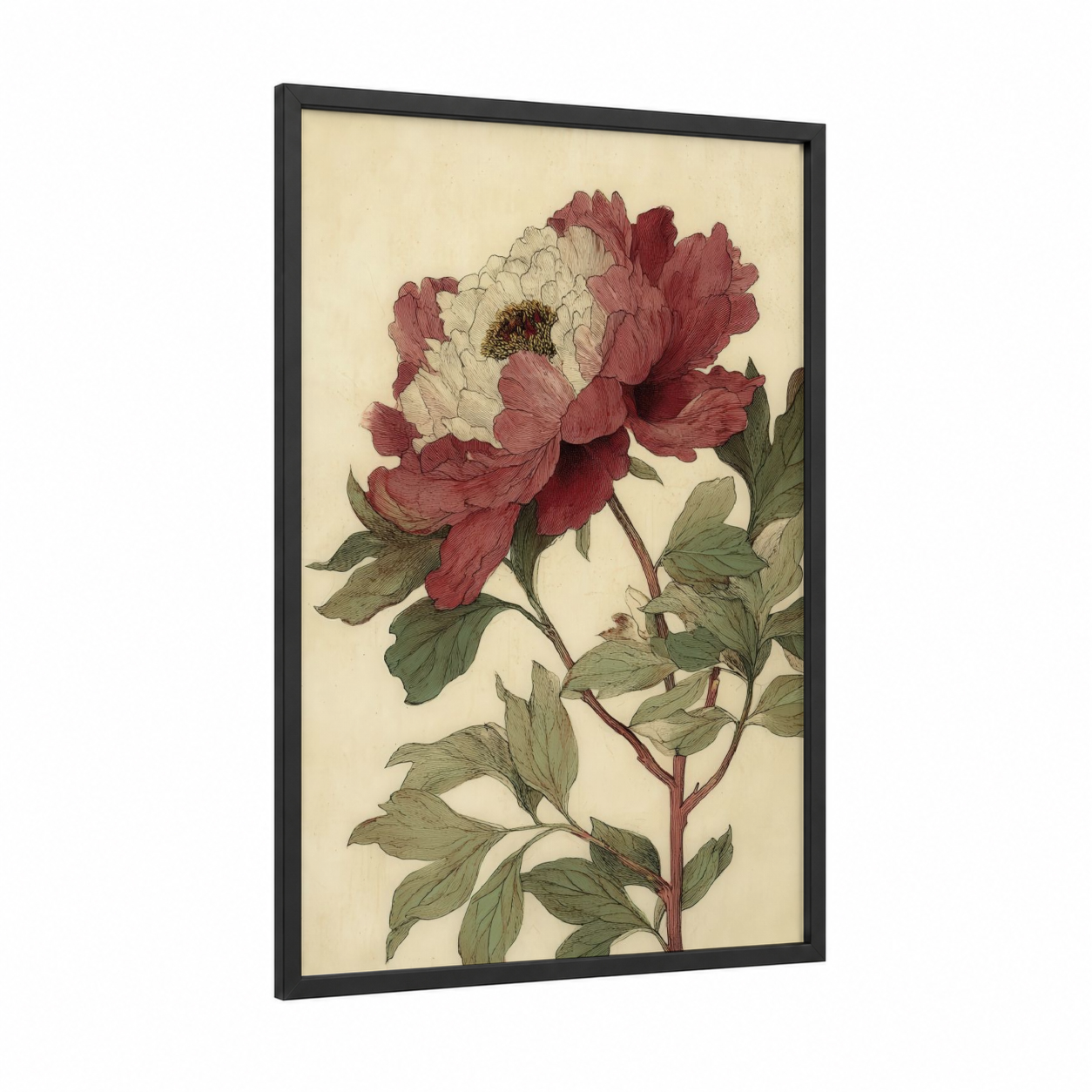 Crimson Peony Bloom framed art print — black wood frame — cream and maroon palette