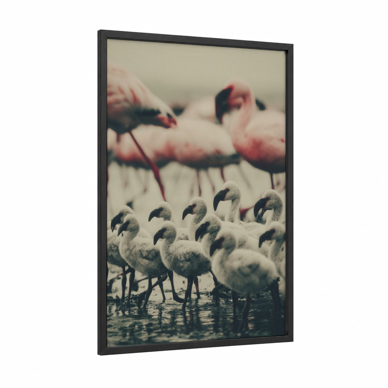 Flock Gathering framed flamingo print — black wood frame — gray and rose gold palette