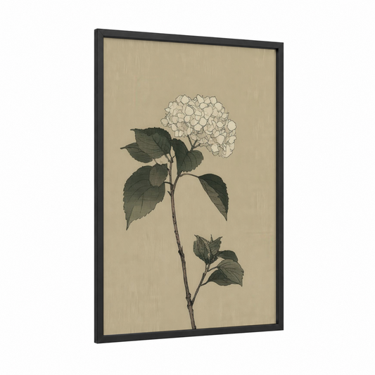 Cream Hydrangea Study framed art print — black wood frame — cream and dark green palette