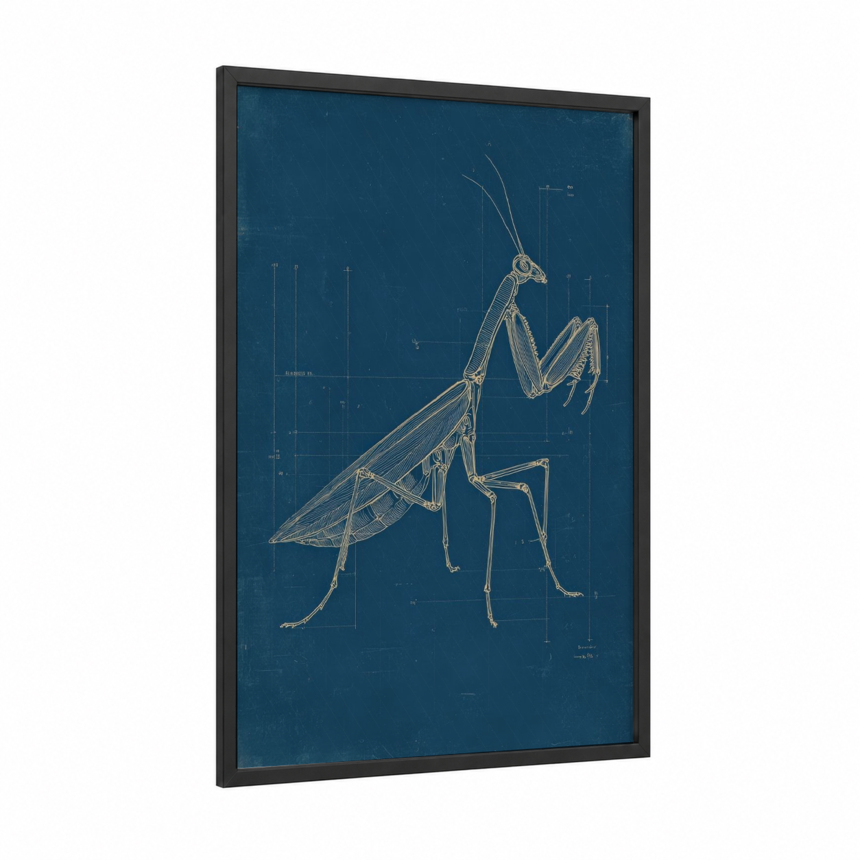 Blueprint Mantis framed prayin mantis print — black wood frame — dark blue and gold and white palette