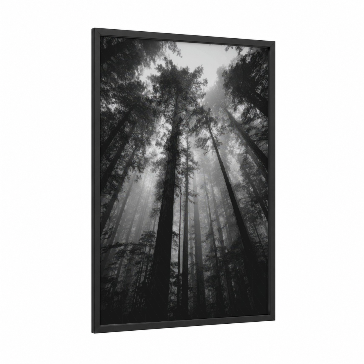 Misty Forest Canopy framed forest trees print — black wood frame — black and white and gray palette