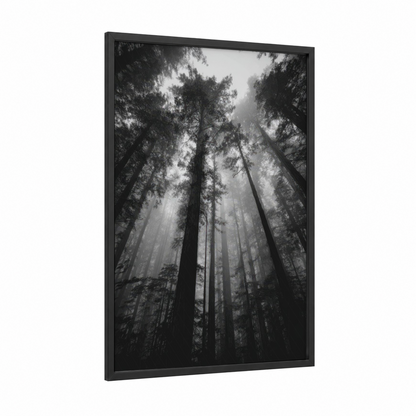Misty Forest Canopy framed forest trees print — black wood frame — black and white and gray palette