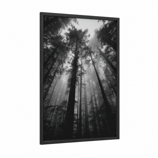 Misty Forest Canopy framed forest trees print — black wood frame — black and white and gray palette