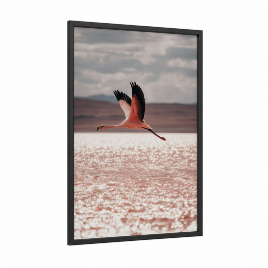 Flight Over Salt framed flamingo print — black wood frame — salmon pink and gray and white palette