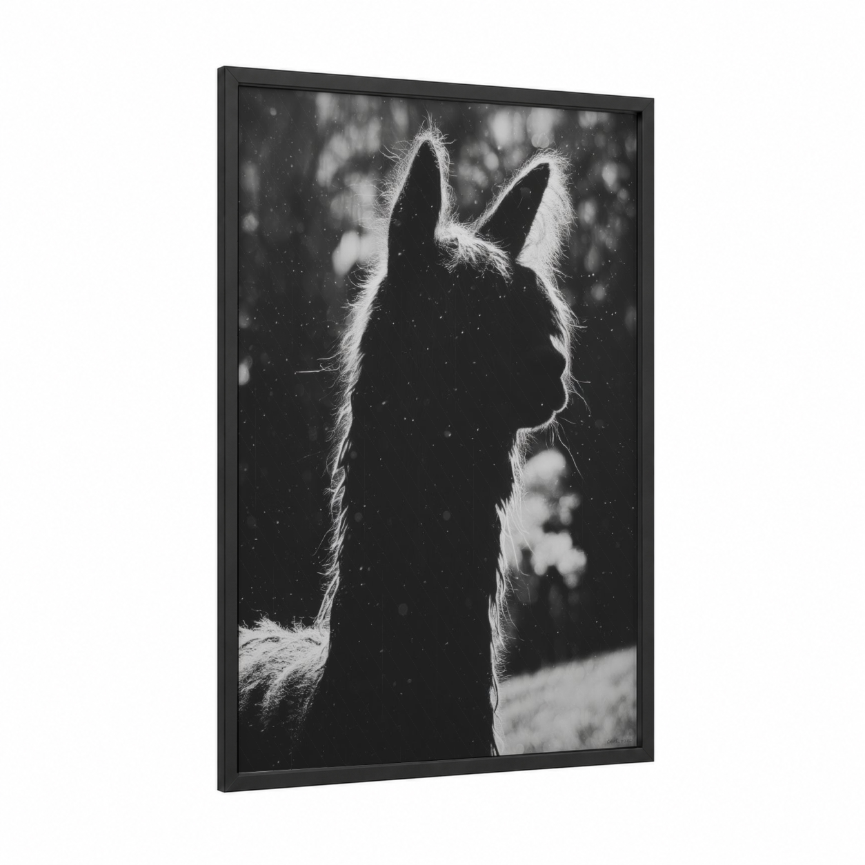 Snowy Alpaca framed art print — black wood frame — black and white palette