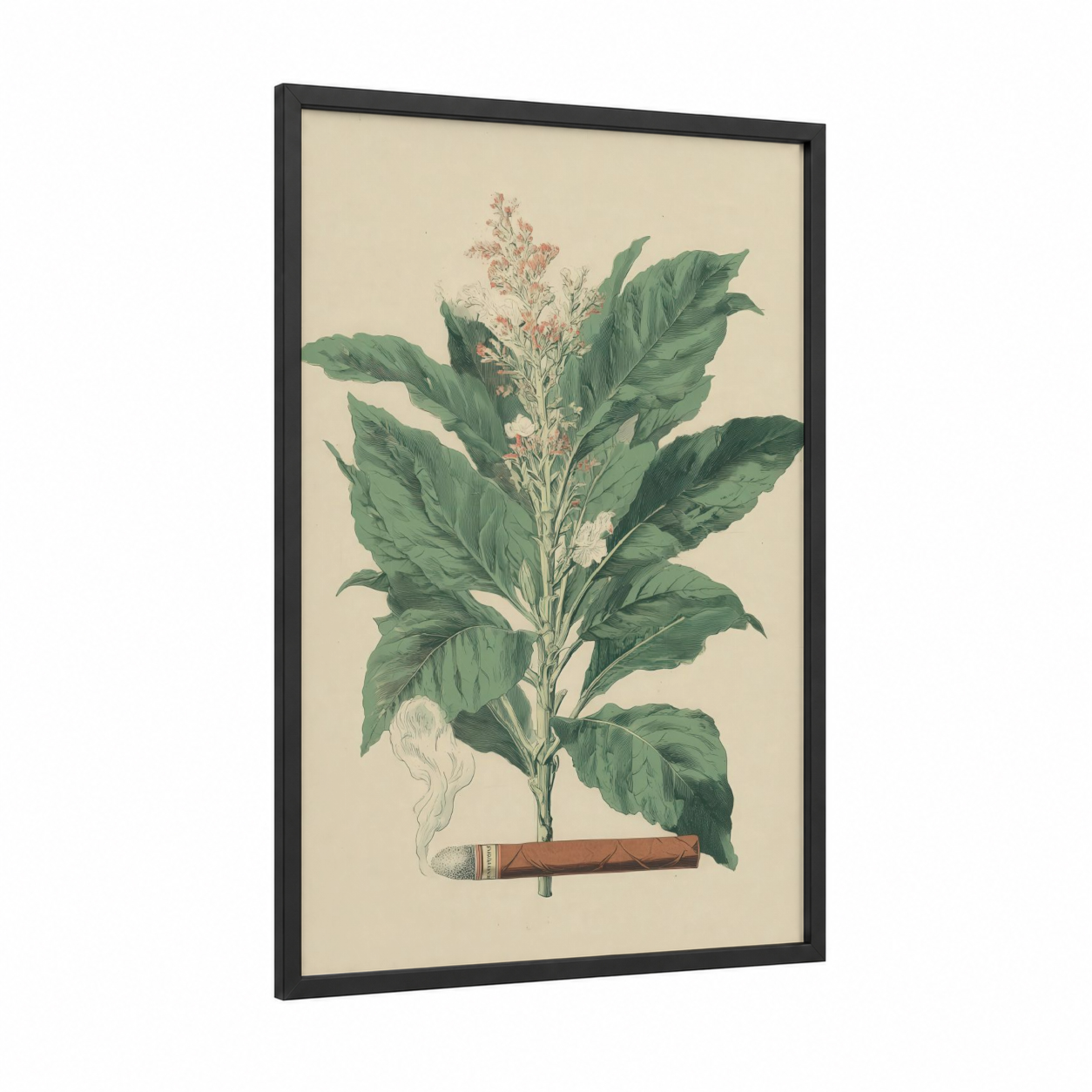 Tobacco Plant Cigar framed cigars print — black wood frame — cream and dark green palette
