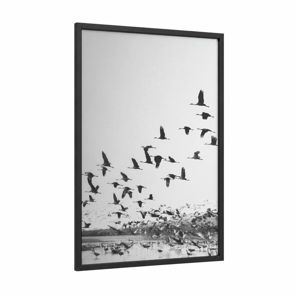 Flock Migration framed crane print — black wood frame — black and white palette