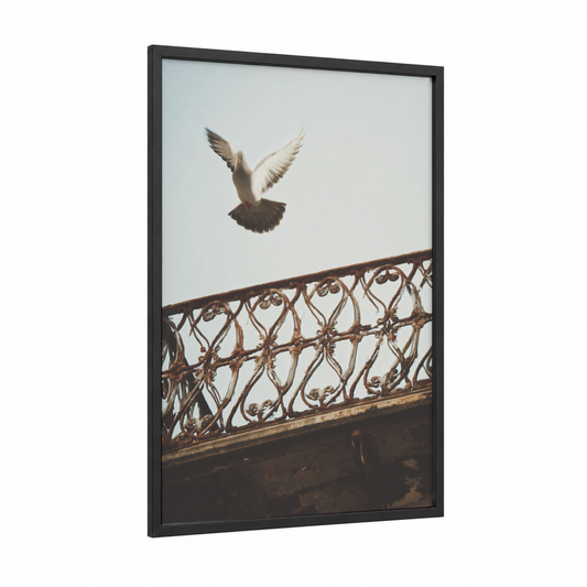 Ascending Pigeon framed art print — black wood frame — white and gray palette