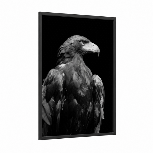 Regal Eagle Profile framed art print — black wood frame — black and white palette