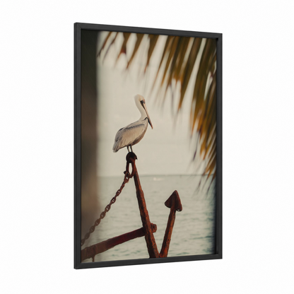 Anchored Pelican framed art print — black wood frame — cream and gold palette