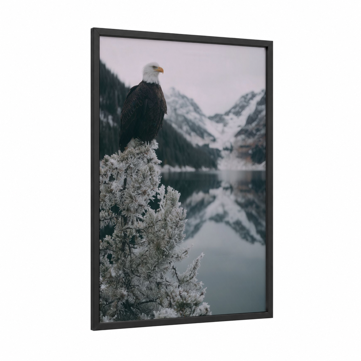 Alpine Eagle framed art print — black wood frame — gray and white and black palette