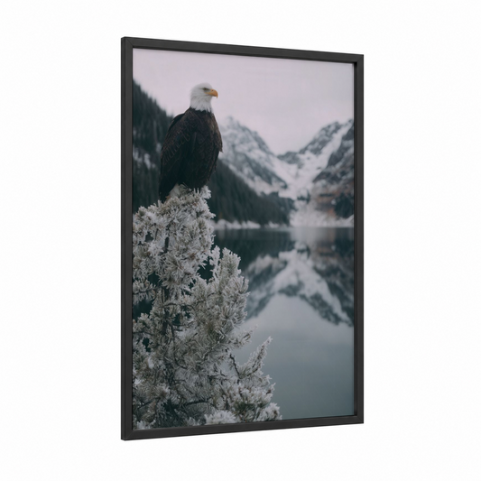Alpine Eagle framed art print — black wood frame — gray and white and black palette