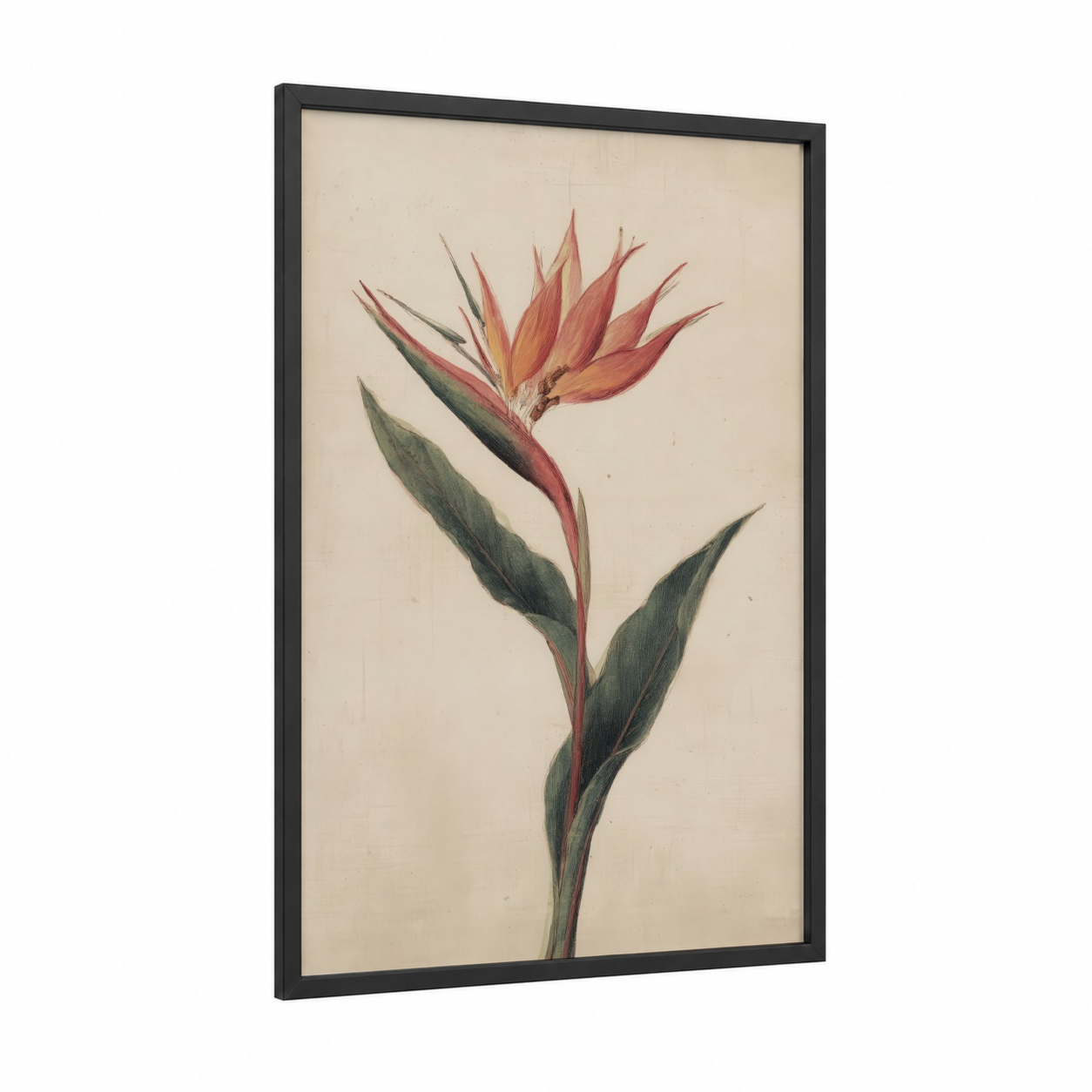 Crimson Bird Paradise framed birds of paradise print — black wood frame — russet and dark green palette