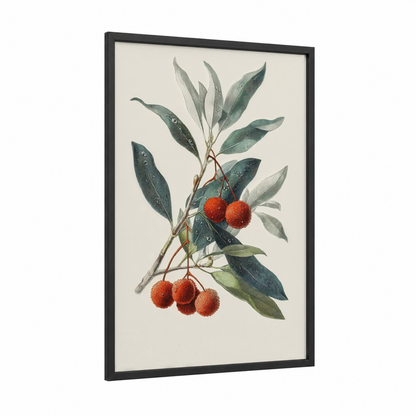 Arbutus Berries framed arbutus tree print — black wood frame — dark green and red palette