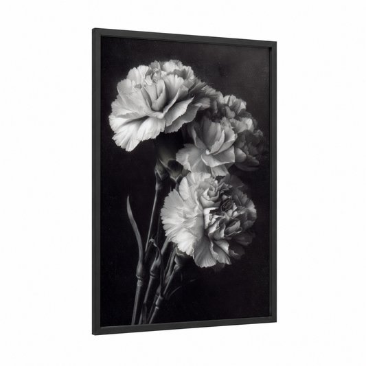 Classic Carnations framed art print — black wood frame — black and white palette