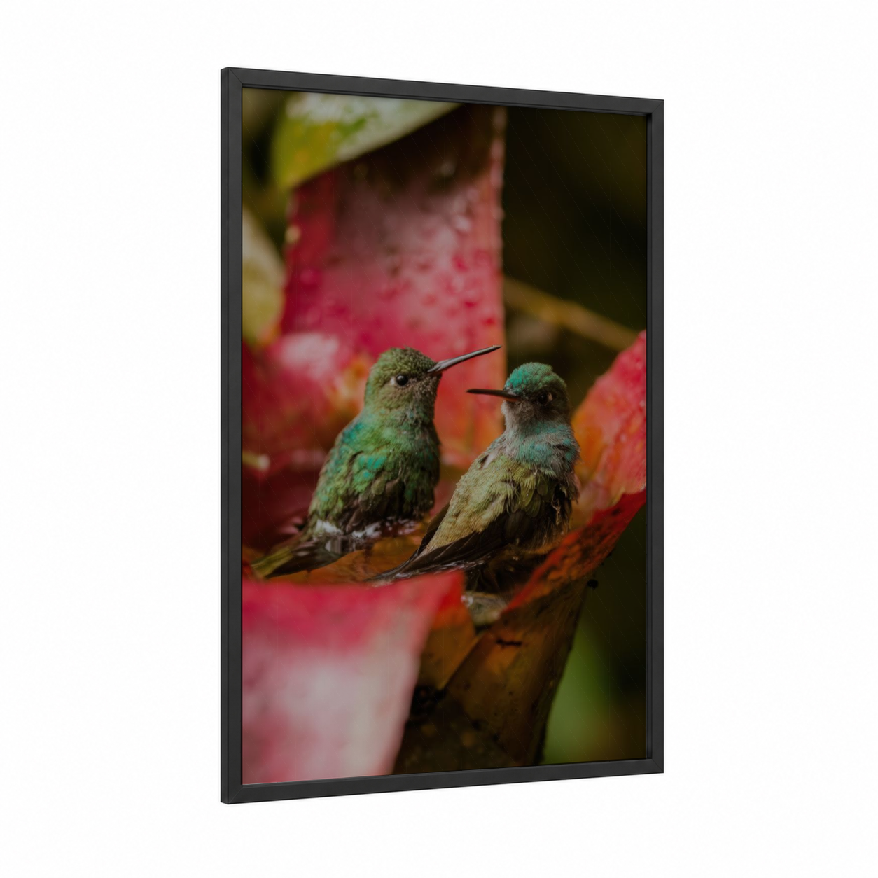 Emerald Hummingbird Pair framed art print — black wood frame — green and red palette