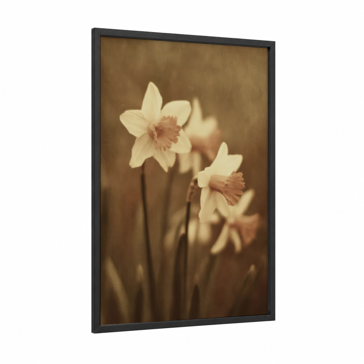 Vintage Daffodils framed art print — black wood frame — cream and peach palette