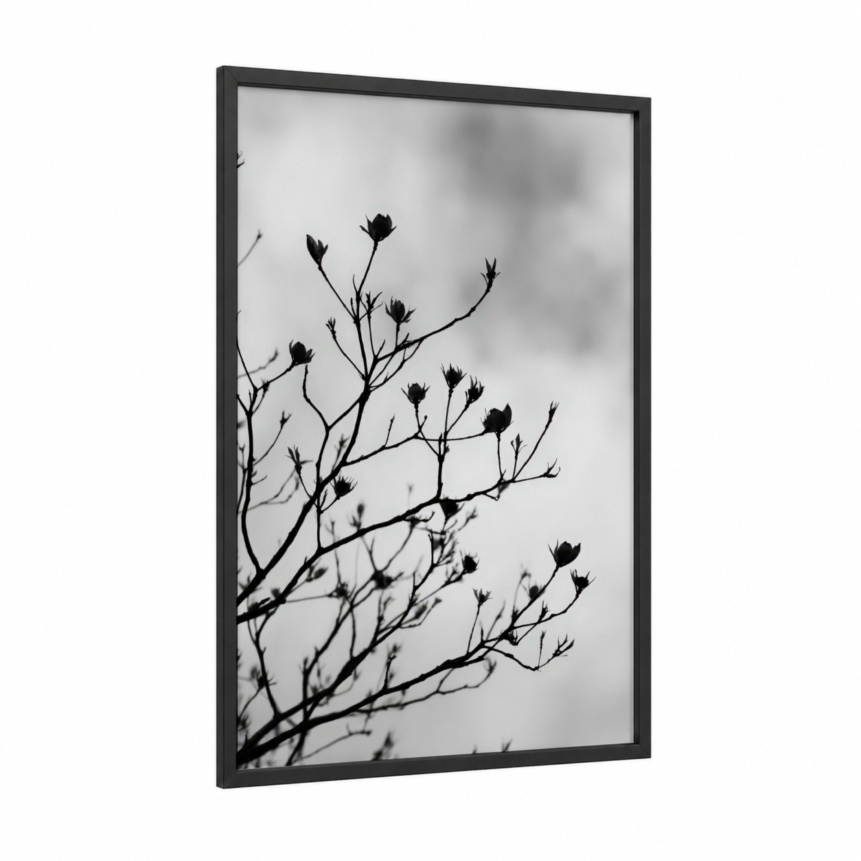 Silhouette Cherry Blossoms framed art print — black wood frame — black and white palette