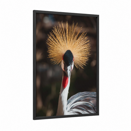 Golden Crowned Crane framed art print — black wood frame — gold and black and white palette