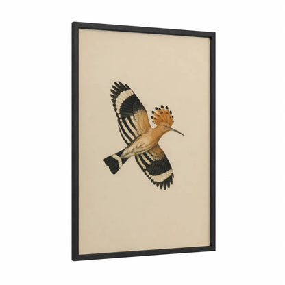 Hoopoe Bird in Flight Wall Art framed birds print — black wood frame — beige and black and white palette