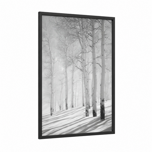 Snowy Aspen Forest framed art print — black wood frame — black and white and gray palette
