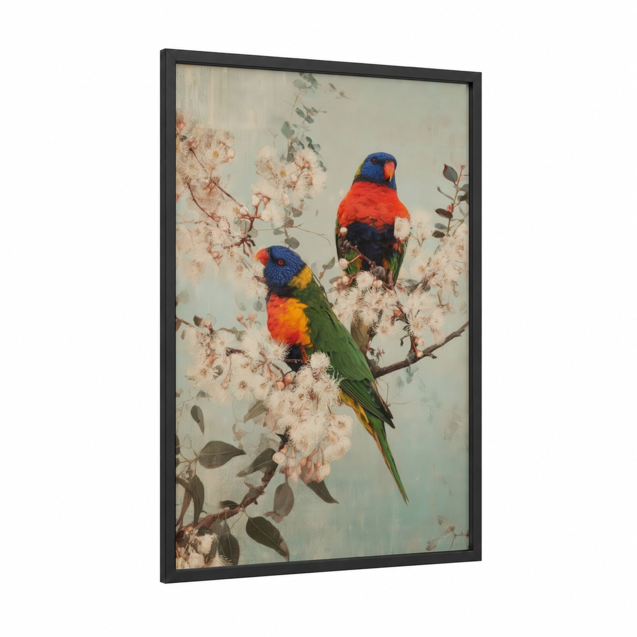 Rainbow Lorikeets Perched framed art print — black wood frame — blue and cream palette