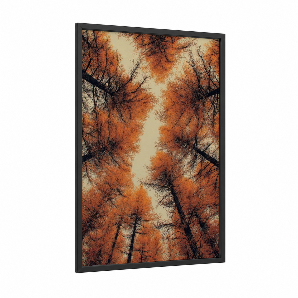 Autumn Forest Canopy framed forest trees print — black wood frame — gold and black palette