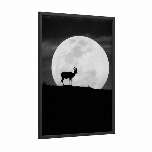Moonlit Antelope framed art print — black wood frame — black and white palette