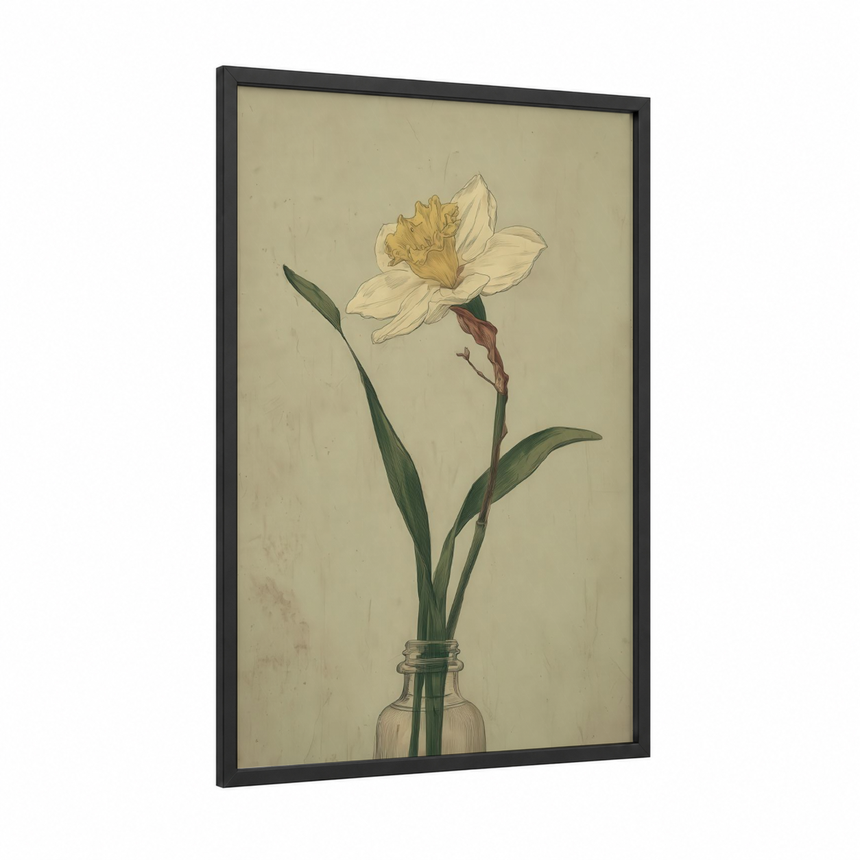Cream Daffodil framed daffodils print — black wood frame — cream and dark green palette