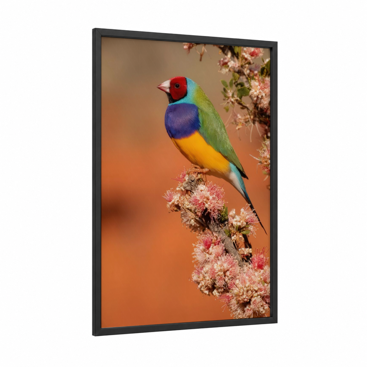 Rainbow Finch Perch framed art print — black wood frame — orange and green palette