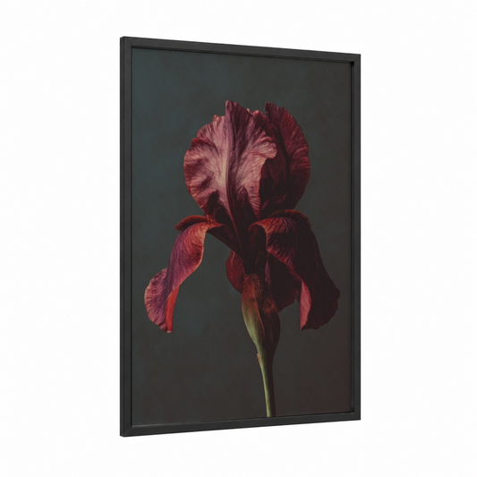 Crimson Iris framed art print — black wood frame — maroon and dove gray palette