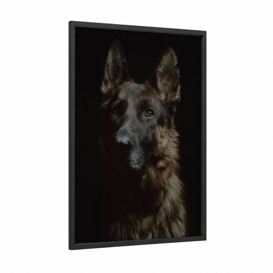 Noble Shepherd Portrait framed shepherd dogs and collies print — black wood frame — black and white and dove gray palette
