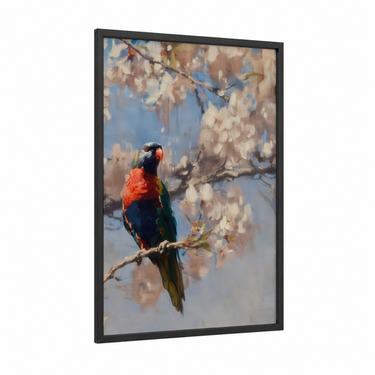 Blossom Lorikeet framed rainbow lorikeet print — black wood frame — blue and cream palette