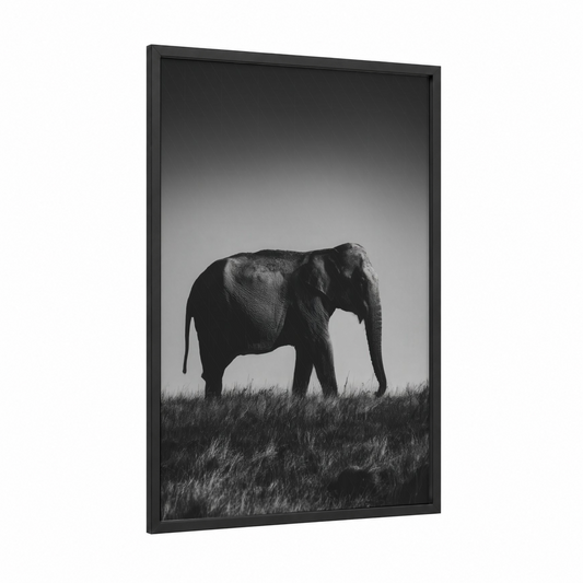 Solitary Elephant framed asian elephant print — black wood frame — black and white and gray palette