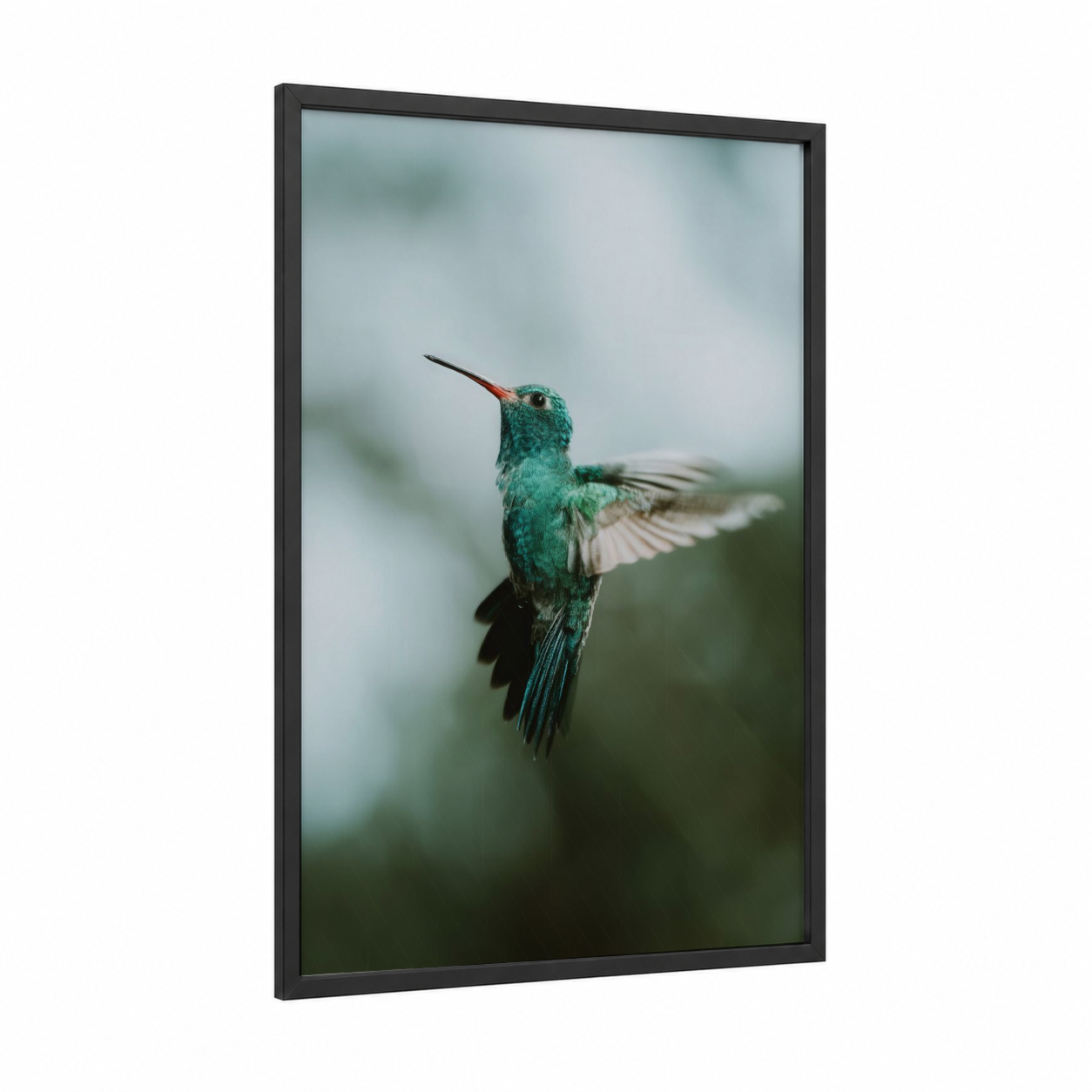 Emerald Hummingbird framed art print — black wood frame — true green and blue and white palette