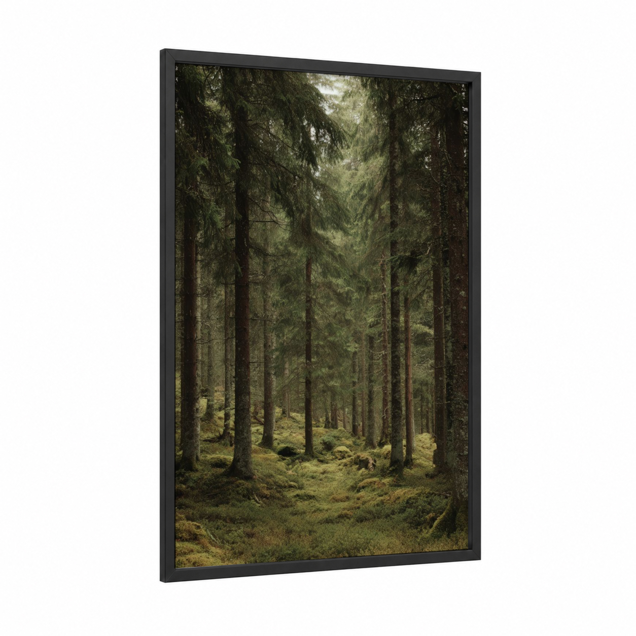 Misty Cedar Forest framed art print — black wood frame — dark green and gray and white palette