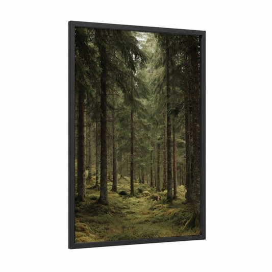 Misty Cedar Forest framed art print — black wood frame — dark green and gray and white palette