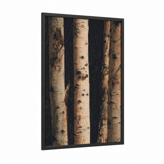 Birch Forest Trunks framed aspen forest print — black wood frame — cream and espresso palette