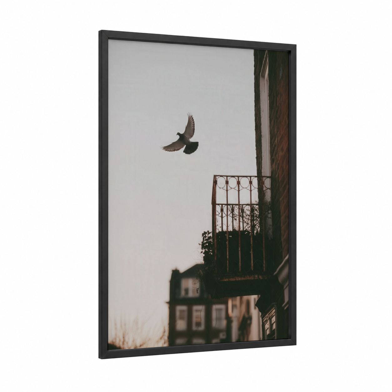 Urban Pigeon Flight framed art print — black wood frame — gray and dove gray palette