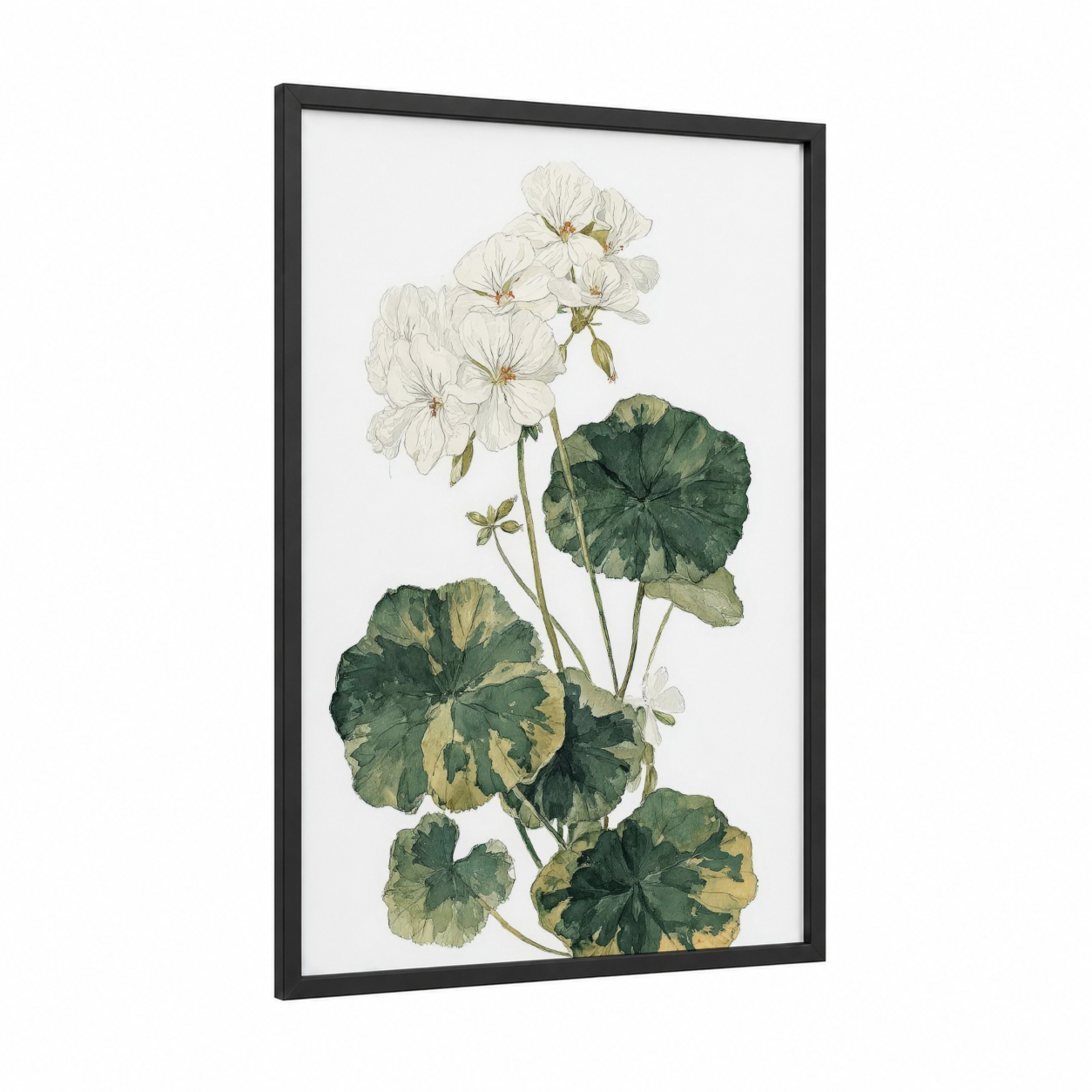 White Geranium Study framed art print — black wood frame — white and sage green palette