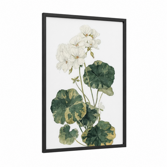 White Geranium Study framed art print — black wood frame — white and sage green palette